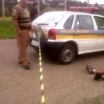 Em São José dos Pinhais (PR) - Jovem é executado em plena luz do dia.