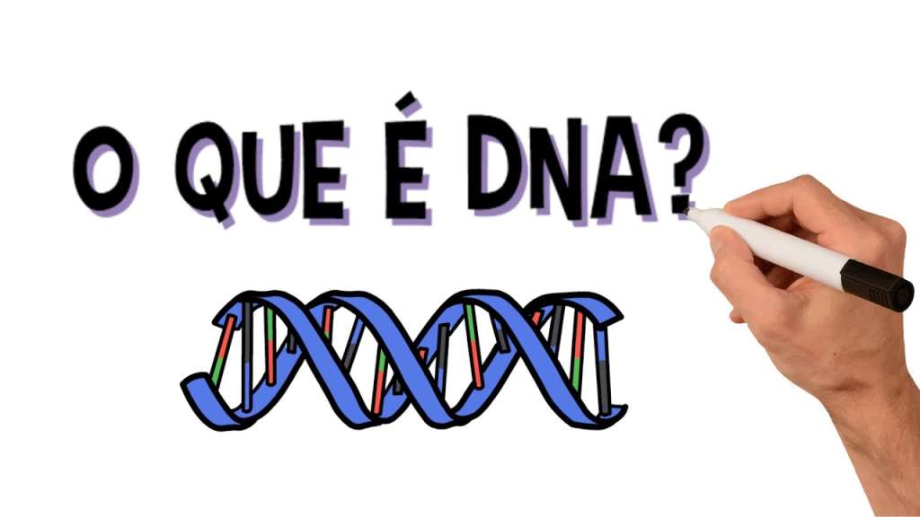 Qual a diferença entre DNA e RNA?