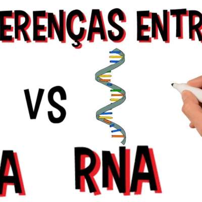 Qual a diferença entre DNA e RNA? - Confira em detalhes!